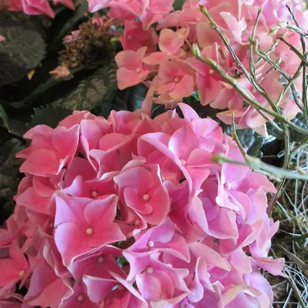 Hotel & Restaurant Schimmelreiter 3*