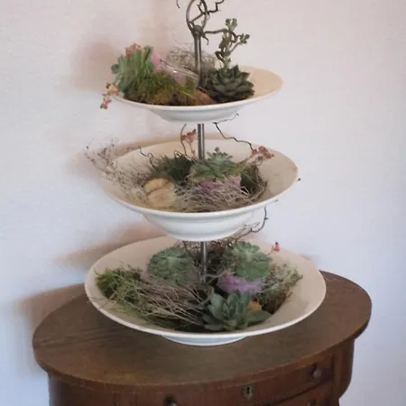 Hotel Hotel&restaurant Schimmelreiter