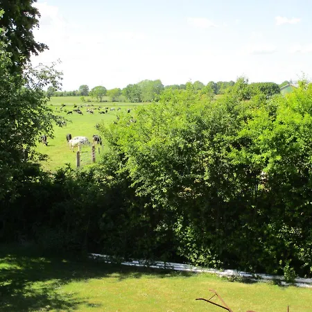 & Restaurant Schimmelreiter Hotel