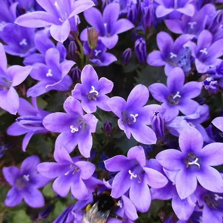 Hotel&restaurant Schimmelreiter Silberstedt