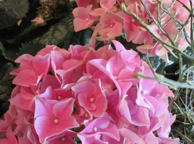 Hotel & Restaurant Schimmelreiter 3*