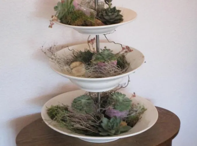 호텔 & Restaurant Schimmelreiter