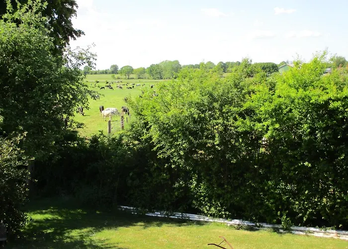 & Restaurant Schimmelreiter 호텔