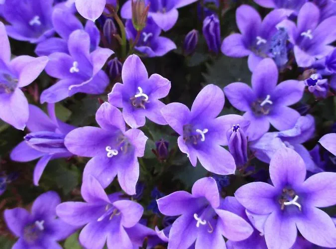 & Restaurant Schimmelreiter Silberstedt